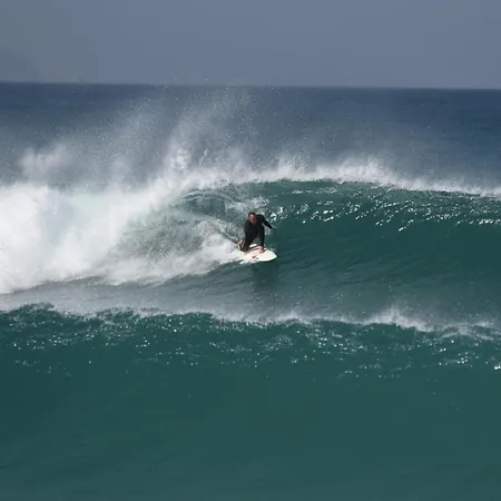 Shark's Baleal
