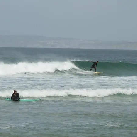 Shark's * Baleal