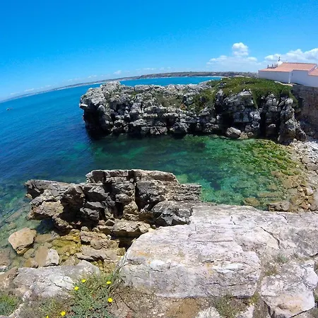 Lodge Shark's Baleal