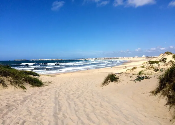 롯지 Shark's 발리알