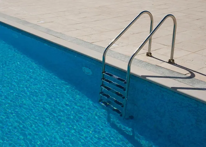 Shark's 롯지 발리알